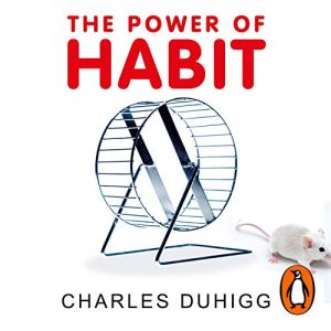 The Power Of Habit Audiobook